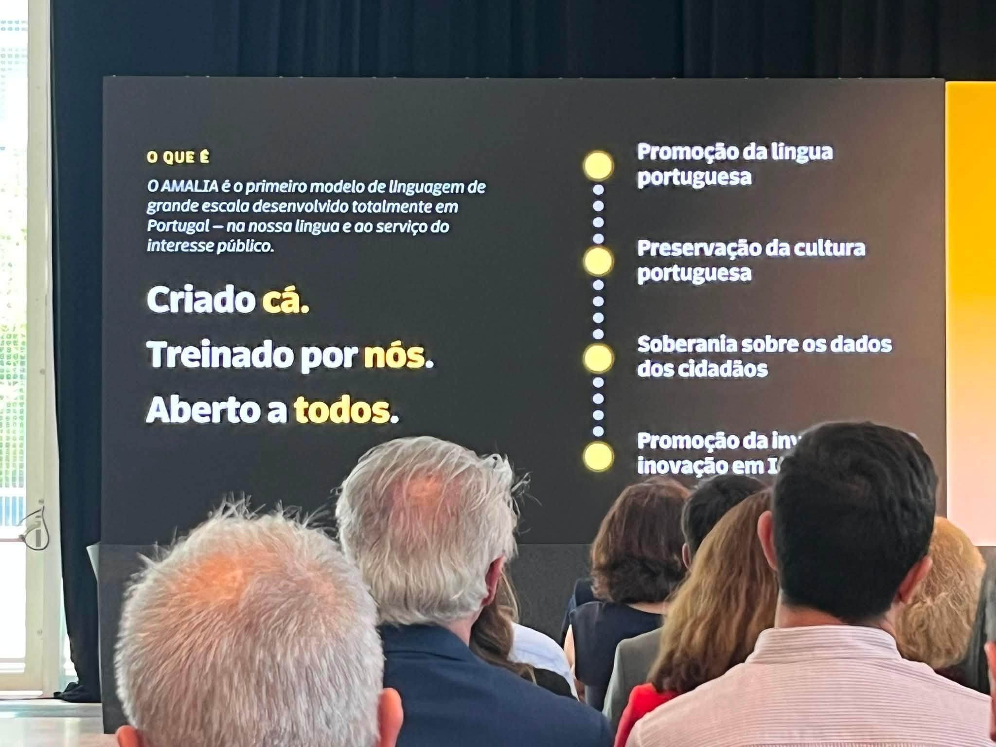 LLM AMALIA - A IA portuguesa